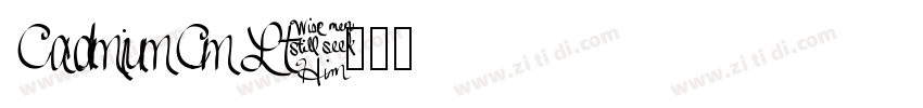 CadmiumCm Lt字体转换